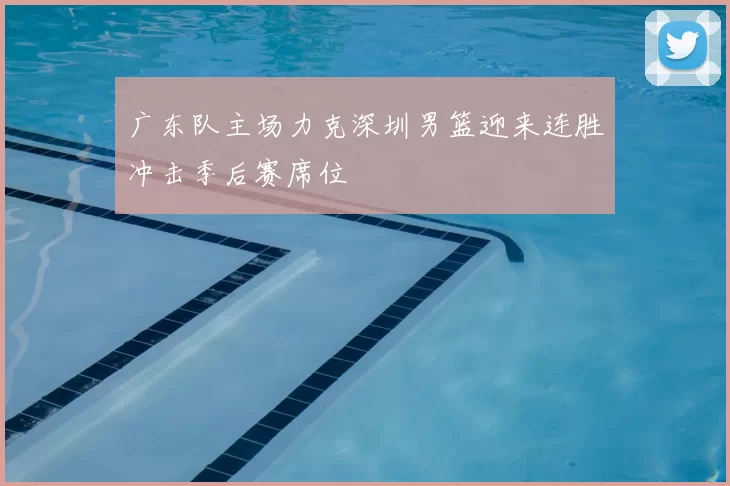 广东队主场力克深圳男篮迎来连胜冲击季后赛席位